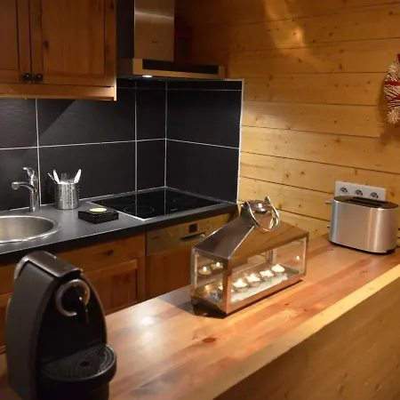 Duplex Authentique 6 Pers Au Cœur De Avec Balcon, Local à Ski, Et Box En Option - Fr-1-545-40